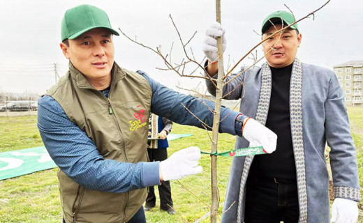 Ортақ қамқорлық – табиғатқа жанашырлықтың көрінісі