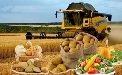 Азық-түлік өндірісі 11,9%-ға артып, 665 млрд теңгеден асты