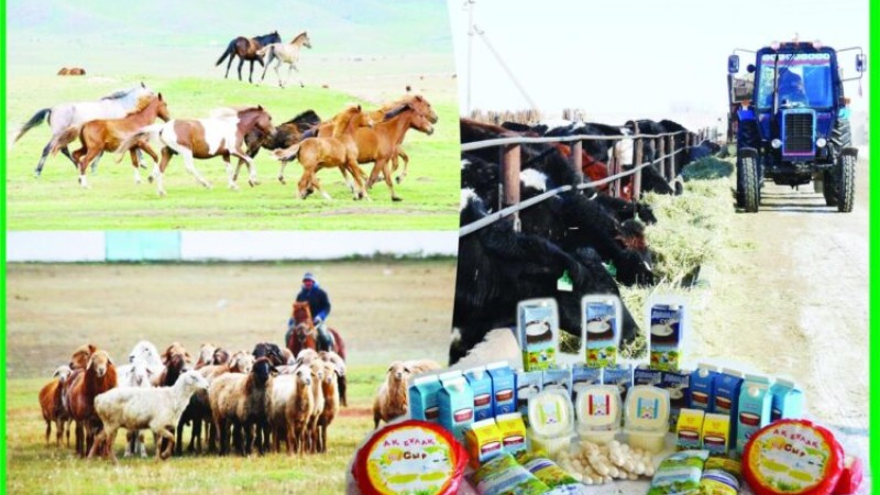 Ауылдағы кәсіпкерліктің адымы ашылып келеді