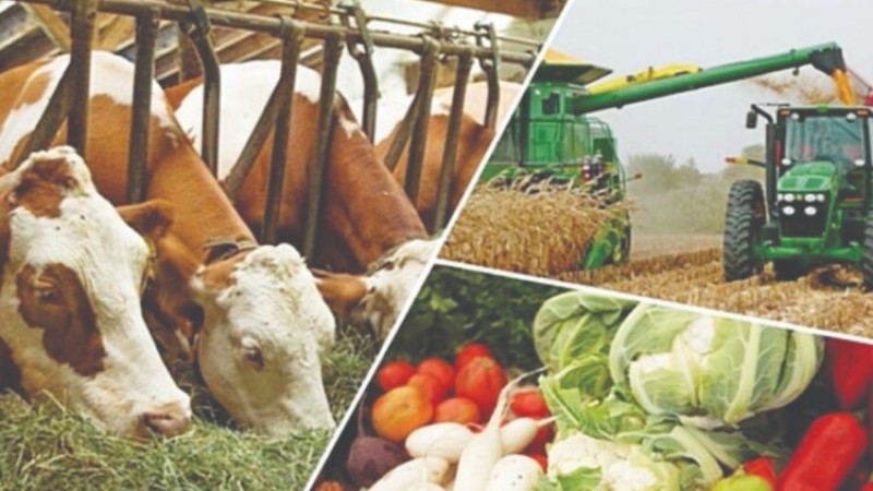 Өз ісіңді бастаудың тиімді жолы