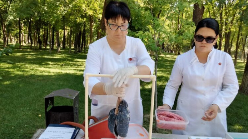 Шылым шегу туралы шындық