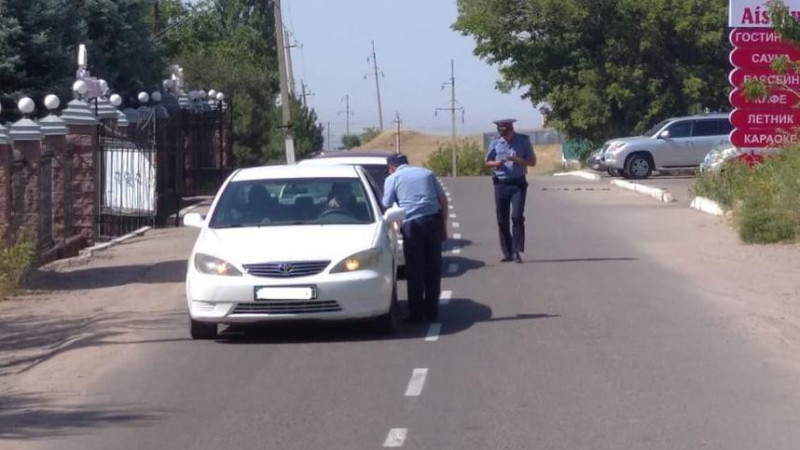 Меркі шипажайындағы әйелдің сөмкесінде бомба болған