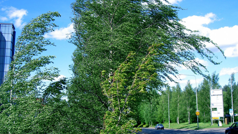 Еліміздің барлық аймағында жел тұрады