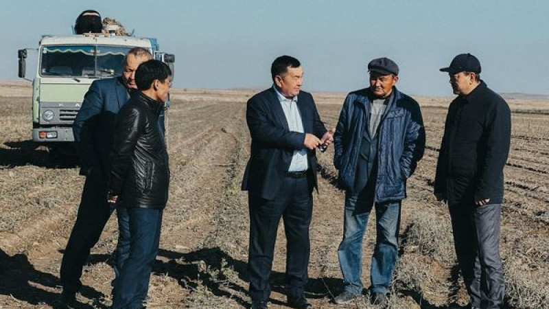 ҚАНТ ҚЫЗЫЛШАСЫ ЖИНАЛУДА