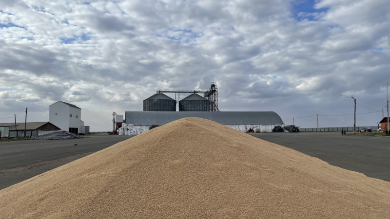 Қазақстанда астық қоймаларының сыйымдылығы жиын-терін көлеміне сай емес