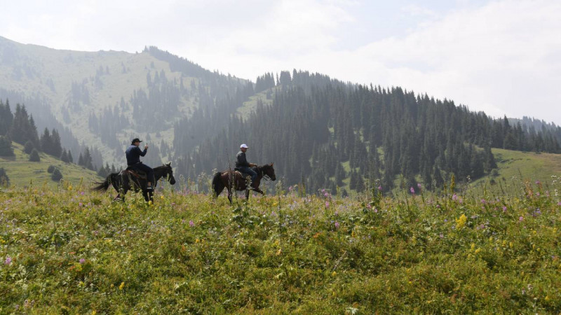 Орман шаруашылығы қызметкерлерінің жалақысы 100 пайыз көтеріледі