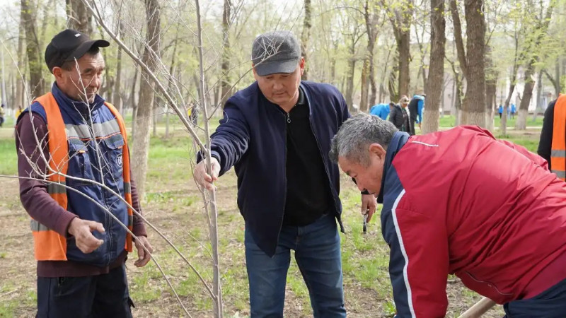 Жамбыл облысында «Таза ауыл. Таза өлке. Таза ел!» экологиялық акциясы басталды