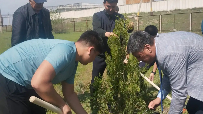 Мың жылдығысын ойлаған тал егеді