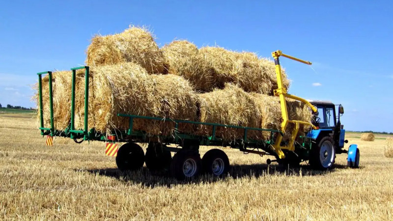 Жамбыл облысында бюджеттен бөлінген 105 млн теңге жымқырылған