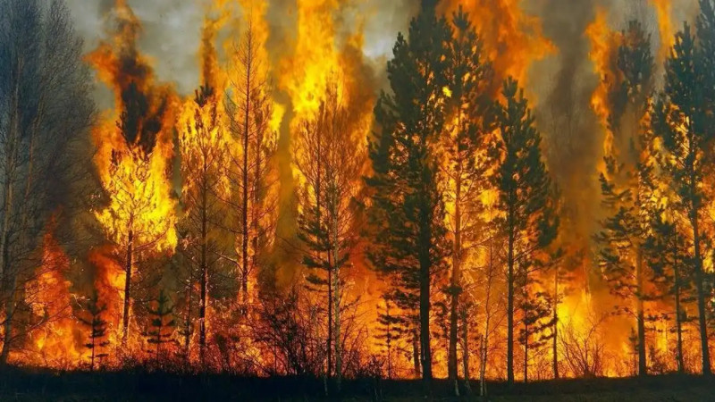 Орман мен даланы өрттен сақтайық