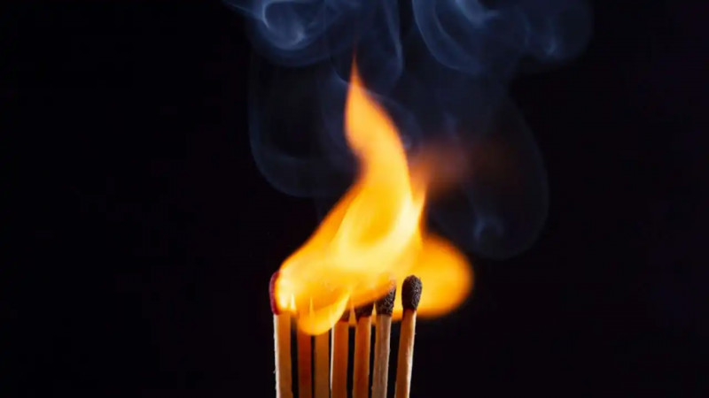 Таразда тәрбиешіні өлтірген күдікті туралы тың дерек шықты