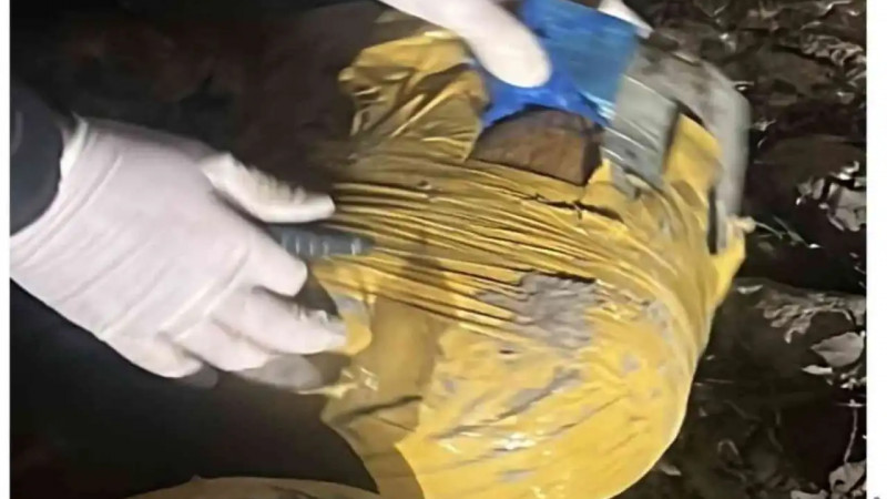 Жамбыл облысында ҰҚК прокуратурамен бірлесіп есірткі арнасының жолын кесті