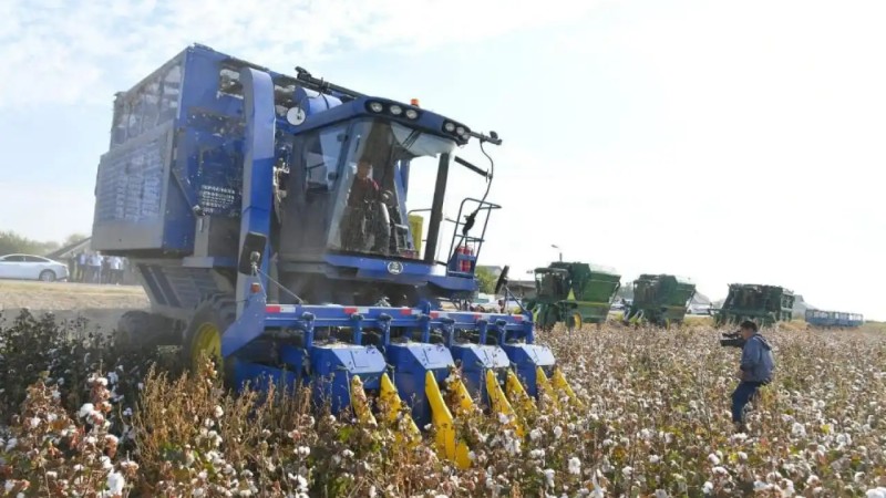 Қазақстанда 25 мыңнан астам агроқұрылым мақта шаруашылығымен айналысады