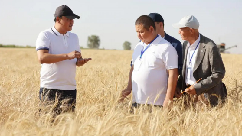 Жамбыл облысында құны 300 млрд теңгеден асатын 20 агрожоба іске қосылады