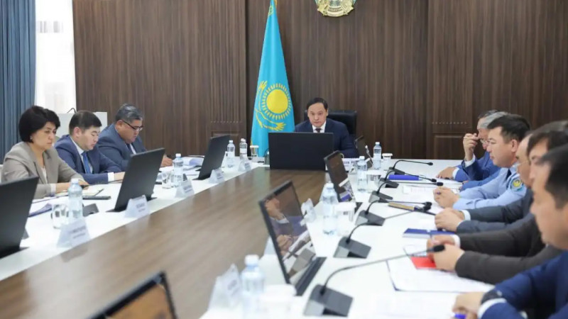 Таза Қазақстан: Тараз қаласында жасыл желектердің бірыңғай дерекқоры жасақталуда