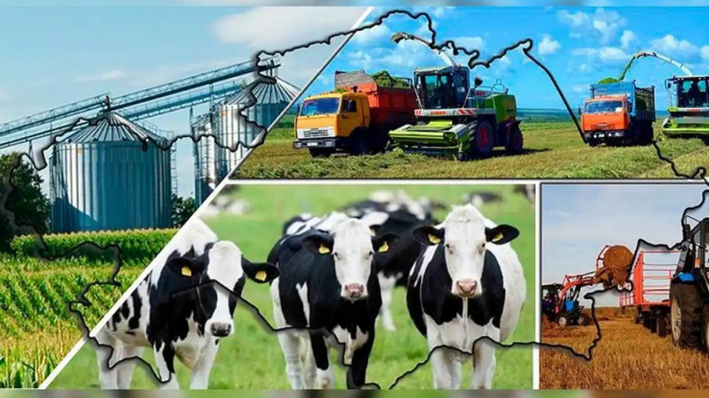 Жуалылықтардың тұрмысы түзеліп келеді: «Ауыл аманаты» табысқа бастады