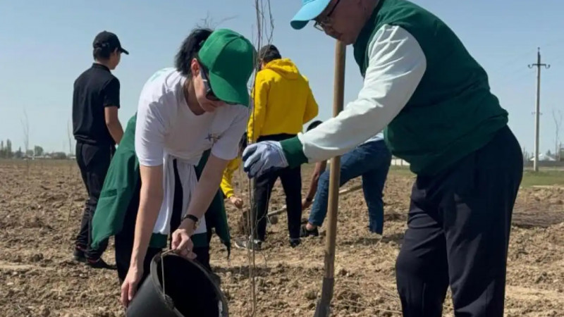 Таразда Таза Қазақстан акциясы аясында жеті мыңнан астам ағаш отырғызылды
