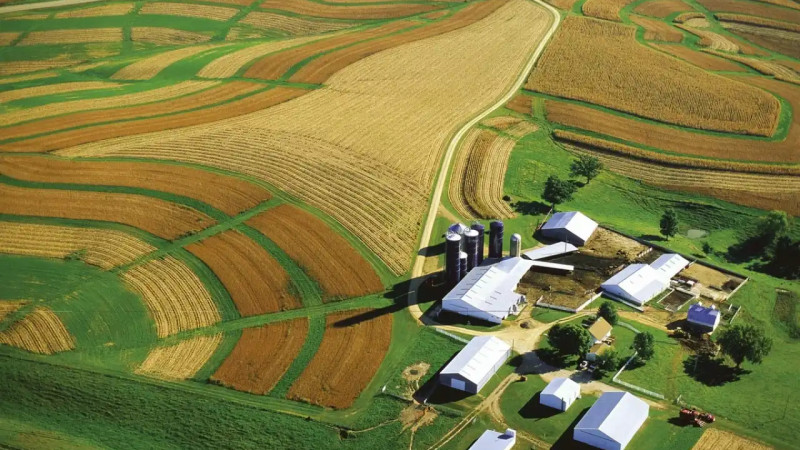 Ауыл шаруашылығын өңдеу саласы қарқын алады өңірде жаңа жобалар іске асуда