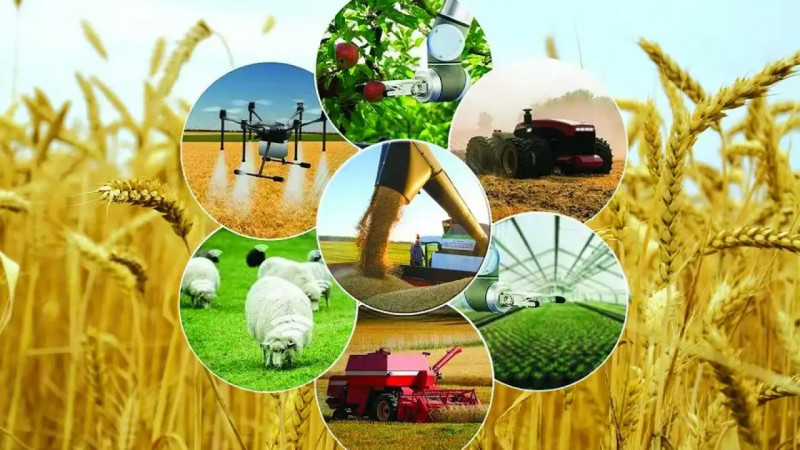 Өңір экономикасын ілгерілеткен ауыл шаруашылығының жаңа белестері