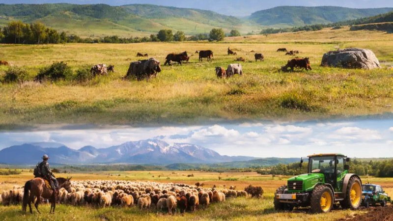 Жамбыл облысында 600 мың гектарға жуық жер мемлекет меншігіне қайтарылды