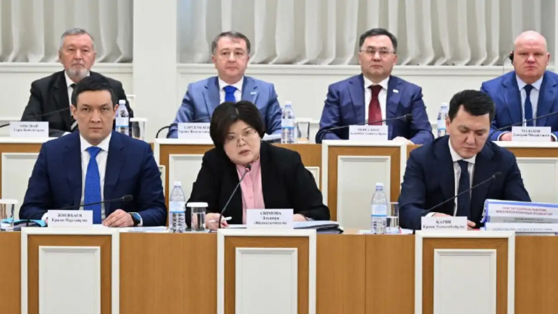 Эльвира Азимова Конституциялық реформаның басты мақсаты мен міндеттерін атады