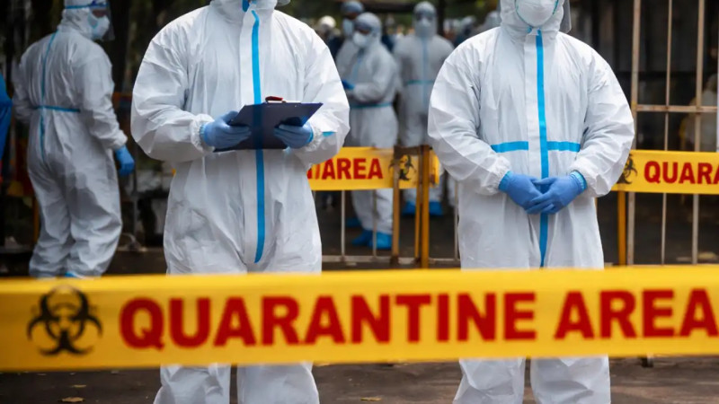 Үндістанда Нипах вирусы тарап жатыр