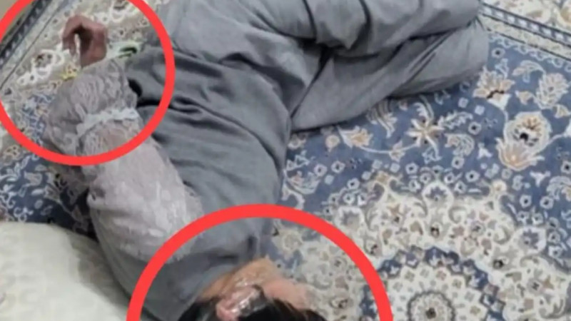 «Құндыздың қол-аяғы байлаулы»: әлеуметтік желідегі сурет қоғамды алаңдатты