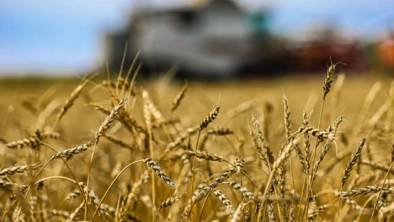 Президент тапсырмаларын орындау: Қазақстанда агроөнеркәсіп кешеніндегі терең өңдеу жобалары жүзеге асуда