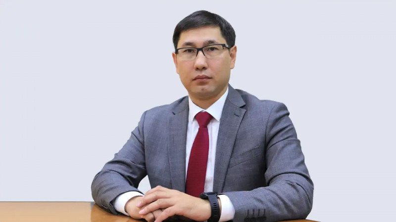 Референдум шығындары үкімет резервінен қаржыландырылуы мүмкін