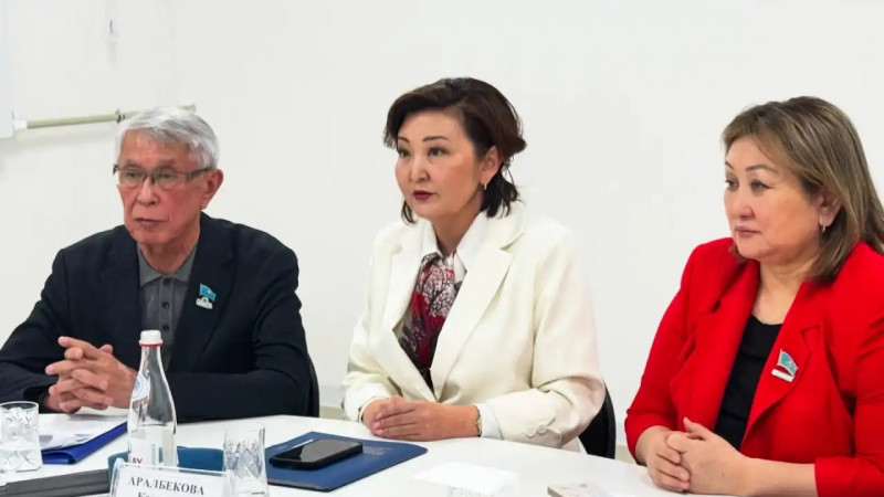 Жібек жолы ауданында жаңа Конституция жобасы медицина қызметкерлеріне таныстырылды