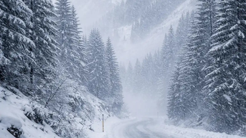 Жамбыл облысында 2 наурызға ауа райы болжамы: қар, тұман және көктайғақ күтіледі