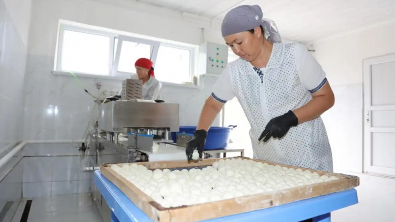 Жамбыл облысында ауыл шаруашылығы өнімдерін қайта өңдеу саласы тұрақты дамып келеді