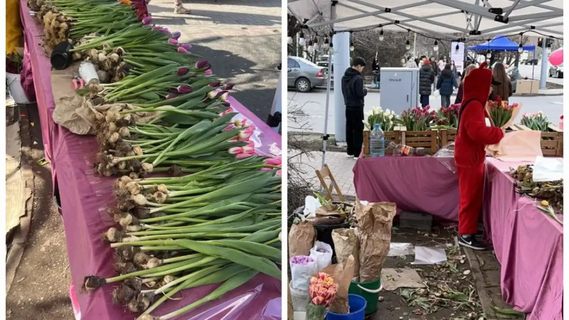 8 наурыз қарсаңында қызғалдақ сатқандар шығынға батты