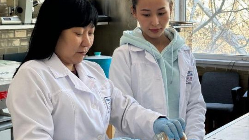 Онкологиялық аурулардың алдын алуға арналған биологиялық белсенді қоспаны қазақстандық ғалымдар әзірлеуде