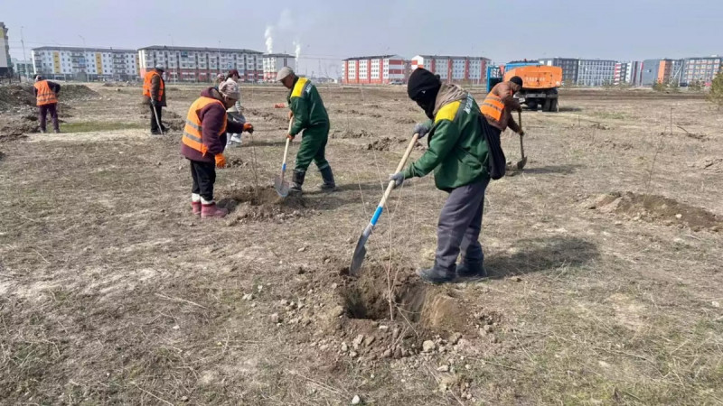 Жасыл бастама: Жамбыл өңірінде жүзге жуық жеміс ағашы егілді