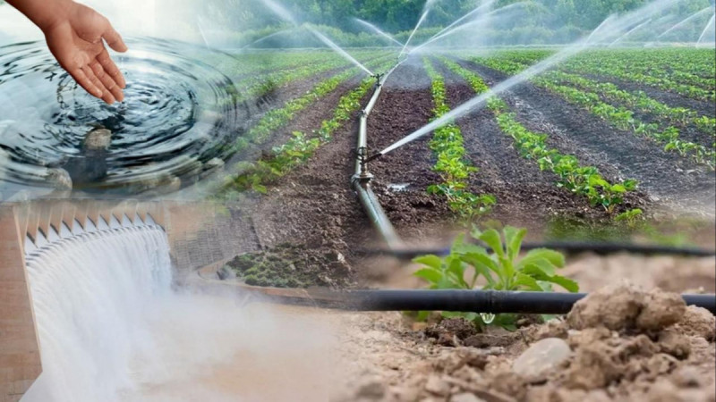 Су саласының саңлағы: Дәулетбай Нұрабаевтың тағылымды еңбек жолы