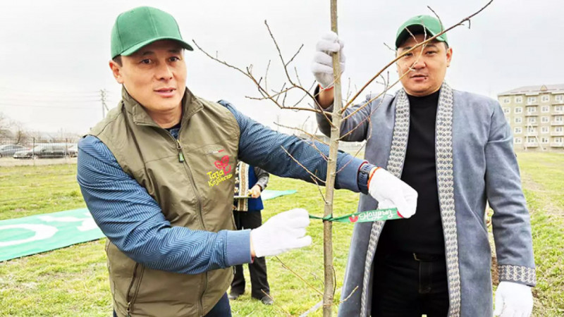 Ортақ қамқорлық – табиғатқа жанашырлықтың көрінісі