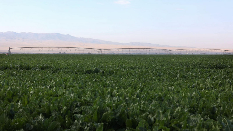 Жамбыл облысында су ресурстары мен инфрақұрылым: тиімді пайдалану және жаңғырту