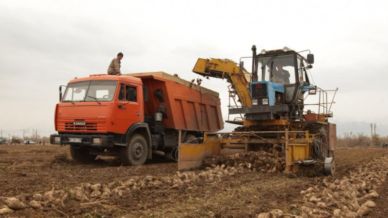 Жамбыл облысында қайта өңдеу өнеркәсібі дамып келеді: ірі жобалар іске қосылады