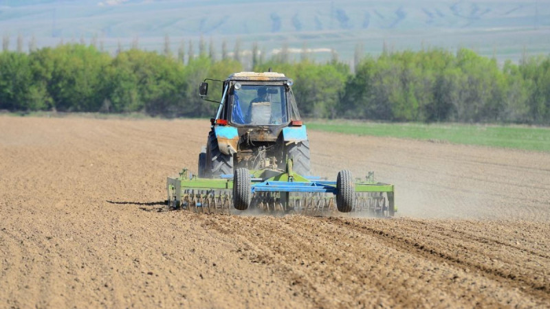 3287 аграрлық сала өкілдері егіс науқанына ерте қаржыландыруға қол жеткізді