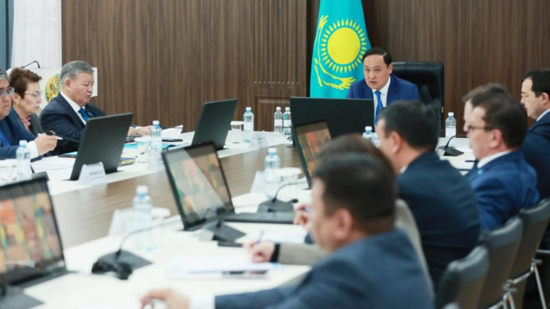 Таза Қазақстан: Тараз қаласында 31 мың түп ағаш цифрландырылды