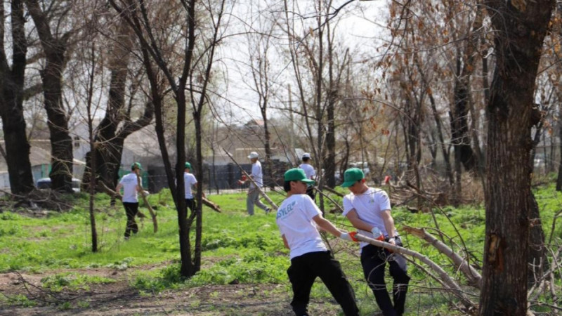Жастар «Таза Қазақстан» экологиялық акциясының жаңа маусымына белсене кірісті