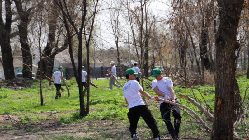 Жамбыл облысында «Ардагерлер» саябағы тазартылды