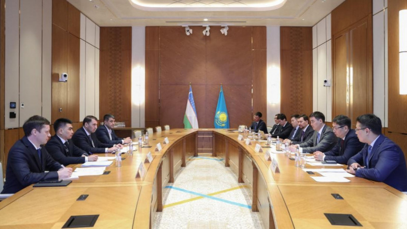 Қазақстан мен Өзбекстанның Геология және сирек жер металдары жөніндегі жұмыс тобының бірінші отырысы өтті
