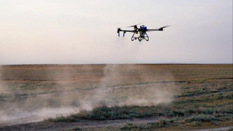 Шегірткеге қарсы күрес шараларына 100-ден астам дрон жұмылдырылады