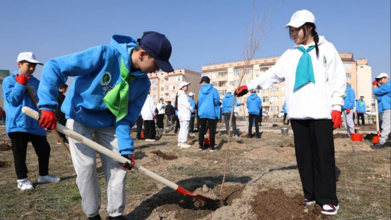 «Таза Қазақстан»: Жамбыл облысында биыл 17 млн-ға жуық көшет отырғызу жоспарлануда