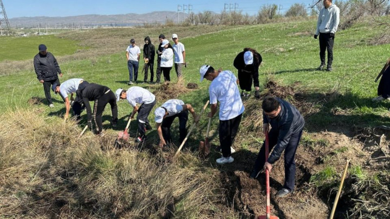 Жамбыл облысында «Мөлдір бұлақ» акциясы жалғасуда