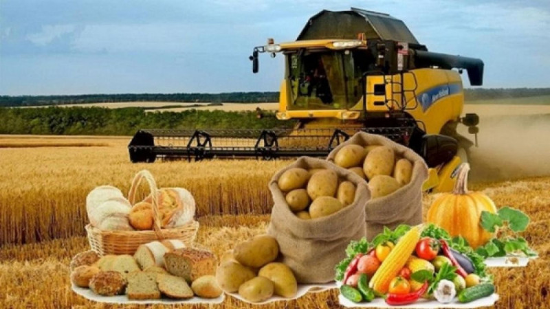 Азық-түлік өндірісі 11,9%-ға артып, 665 млрд теңгеден асты