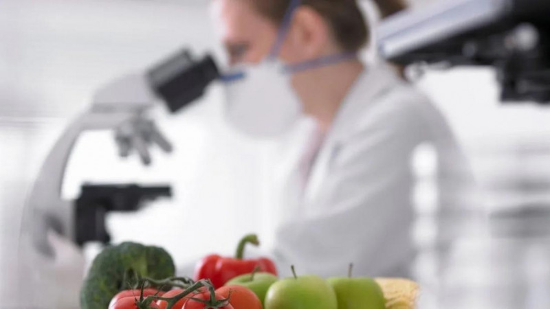 Фитосанитарлық инспекторлар 2025 жылы өсімдіктер карантині саласында 3,6 мың бұзушылықты анықтады