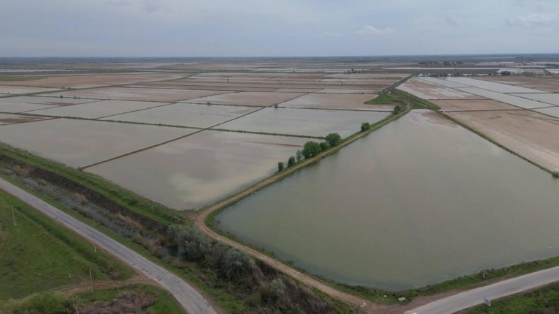 Түркістан облысында сор шаю үшін 400 млн текше метр су берілді